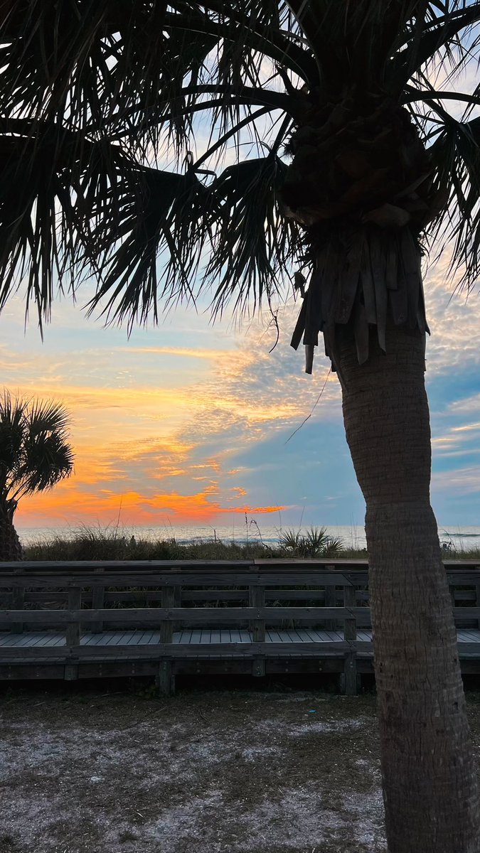 MelsMisadventures tweet media