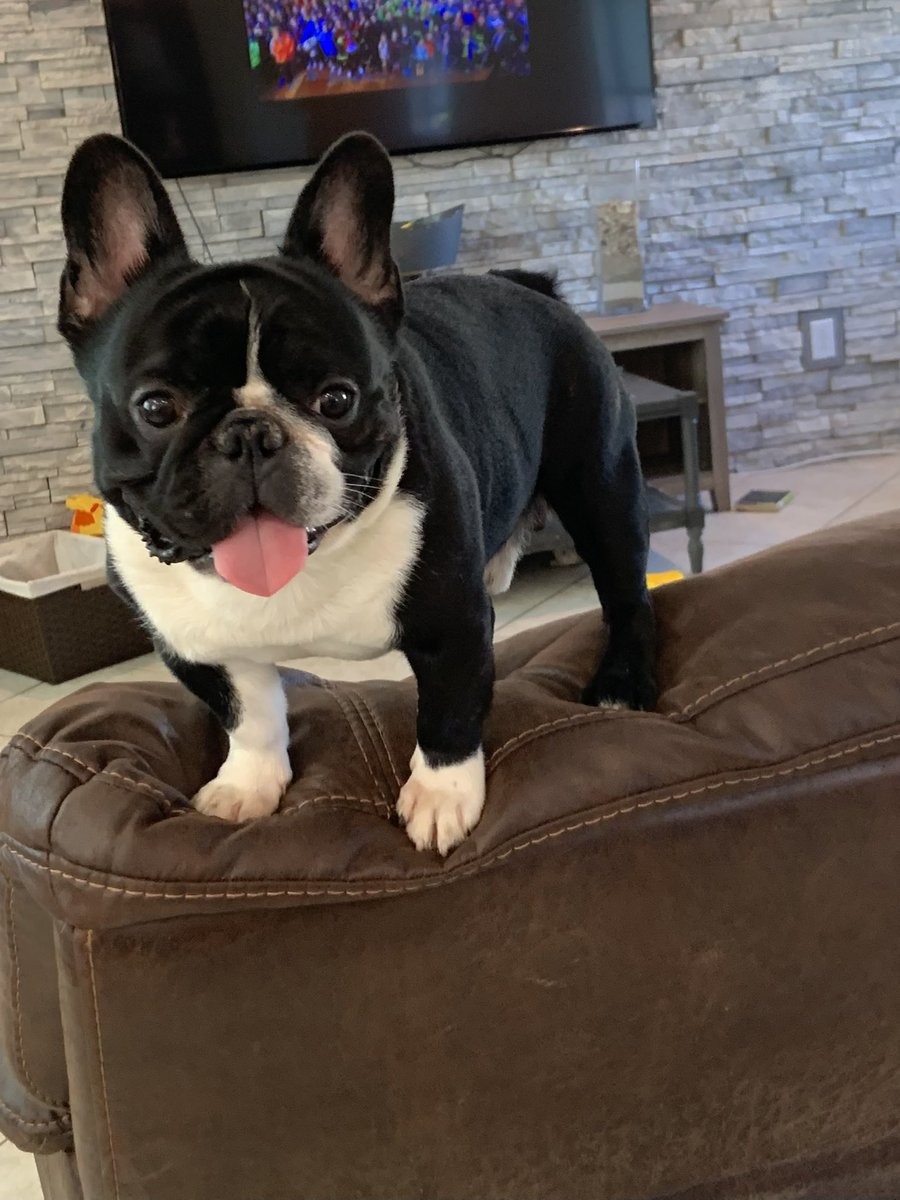 MelsMisadventures tweet media