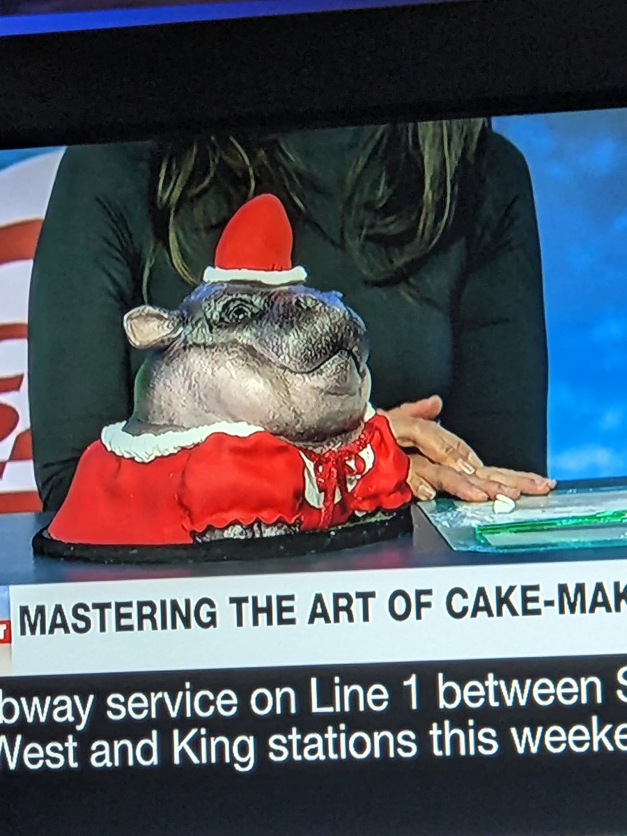 Still traumatized by the hyper realistic Moo Deng Santa cake on CP24 today