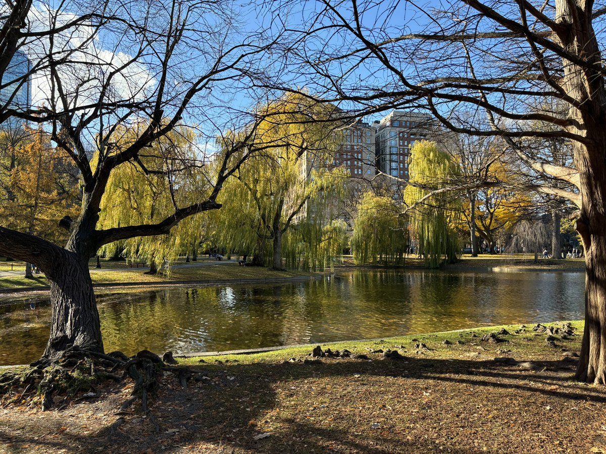 Ellahiville's tweet image. #Boston #CollegeTown #DifferentVibe