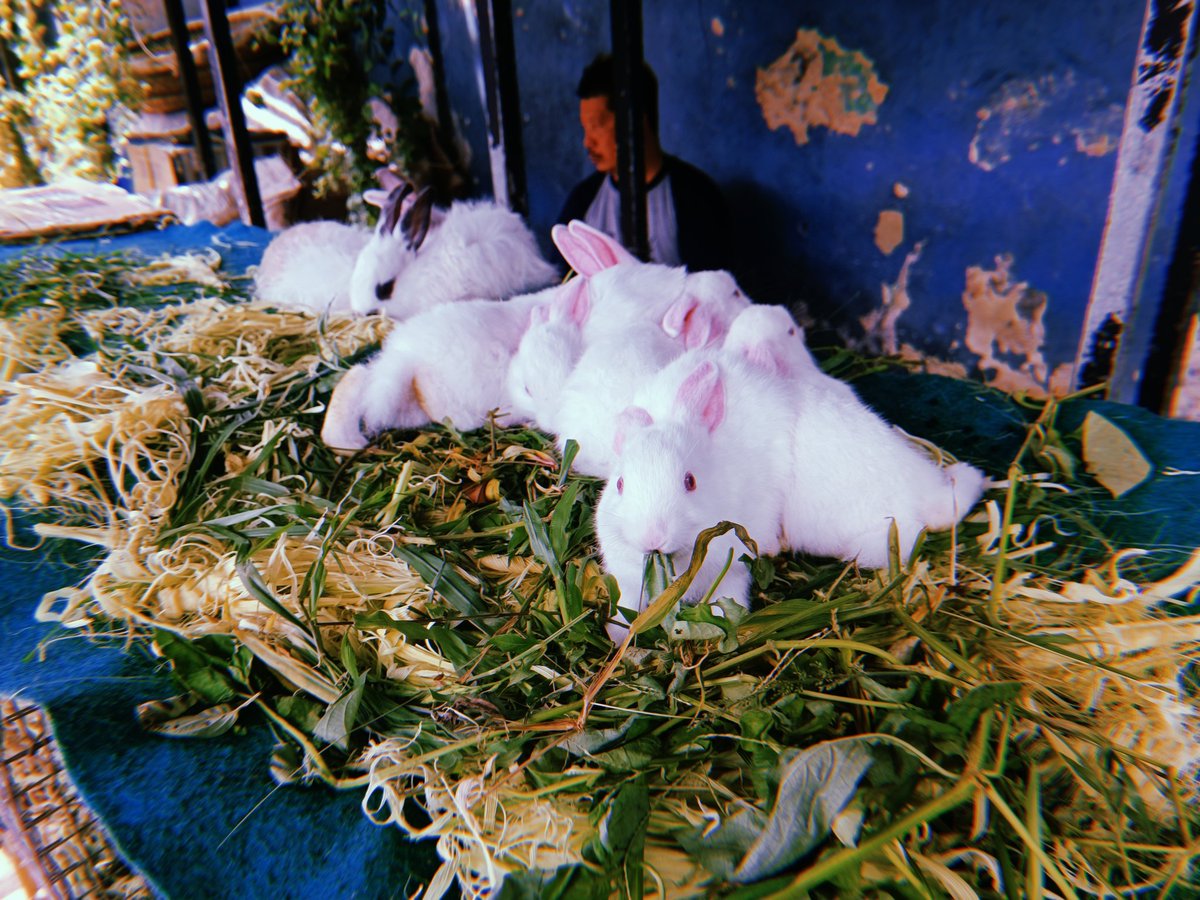 neynarhm tweet media