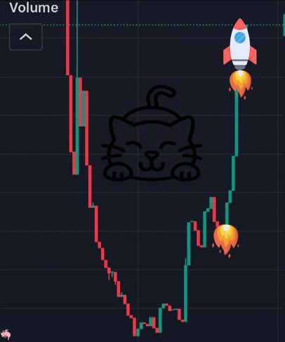 Base Hub 🛡️ tweet media