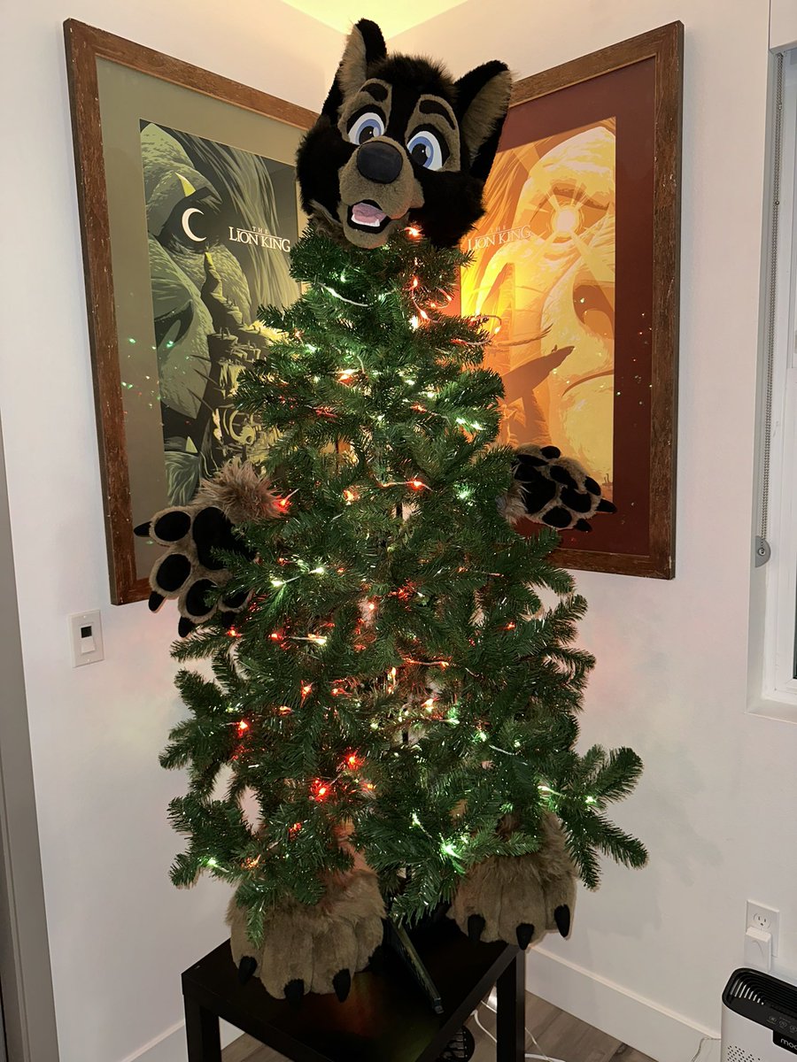 RockyGshep's tweet photo. @cedar_yote This was a great idea! https://t.co/09KDbvuqDP