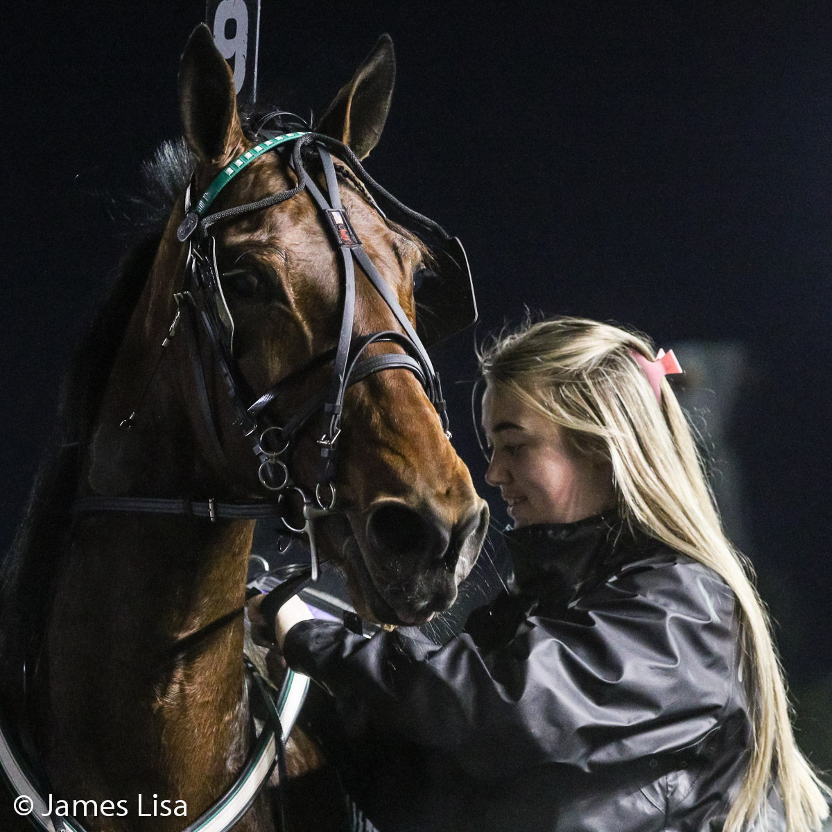LisaPhotoM1's tweet photo. Trained by Robert Cleary Louisville GB wins her North American debut @themeadowlands @JessicaOtten1 @DaveLittleBigM #harnessracing #PlayBigM https://t.co/AM6jT9i1dd