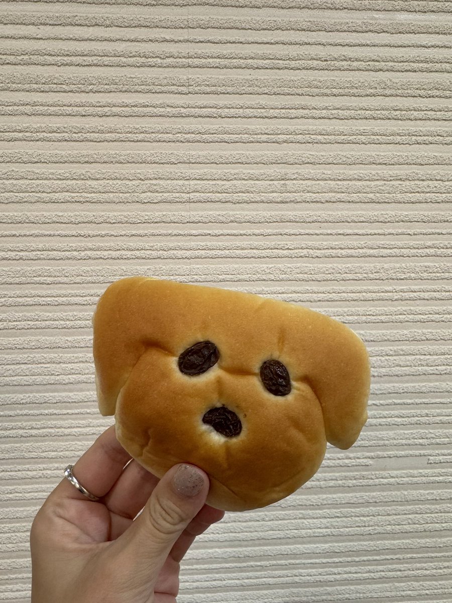 ワンコパン❤︎