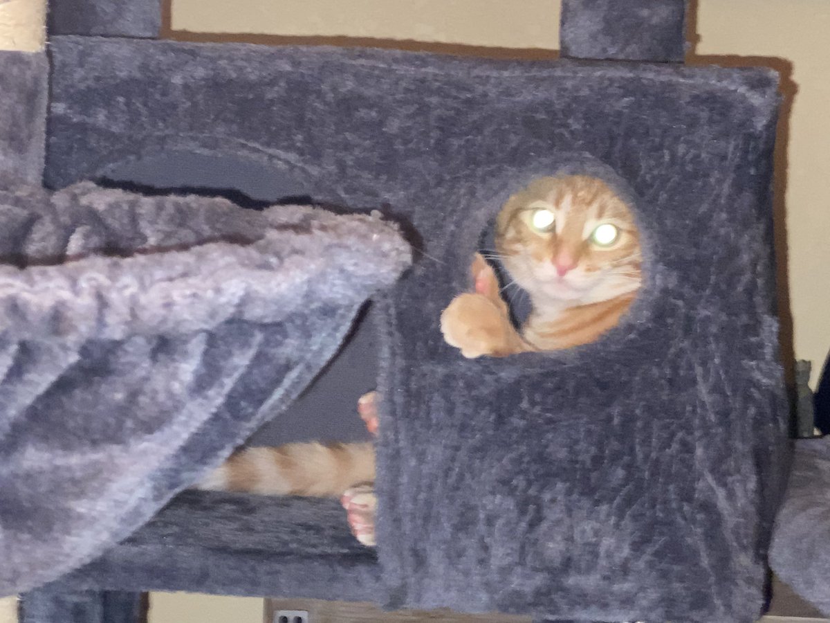 When you want to be alone, but also want to see what everyone else is doing.
