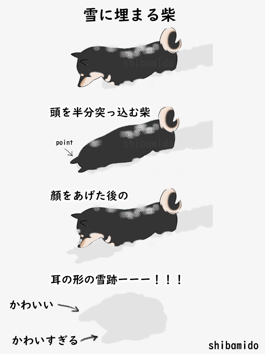 shibamidoo's tweet photo. 雪跡までかわいい
そんな雪国の柴ちゃんに癒された土曜日
#雪国の柴ちゃんに癒された事 https://t.co/pbusxpnT5c
