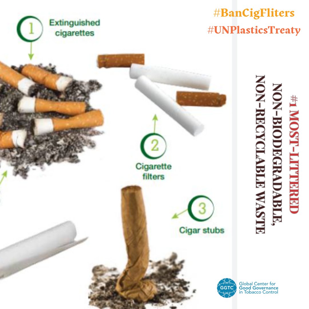 GGTC (@theggtc) on Twitter photo No safe way to recycle cigarette butts! Biodegradable filters are a dangerous gimmick, making smoking seem eco-friendly and luring youth into addiction. Let's ban filters, not greenwash them! 🚭🌱 #BanCigaretteFilters #StopGreenwashing #INC5
<a href="/AshOrg/">ActionSmoking&Health</a> <a href="/exposetobacco/">exposetobacco</a> <a href="/Le_Cnct/">Comité national contre le tabagisme - CNCT</a> No safe way to recycle cigarette butts! Biodegradable filters are a dangerous gimmick, making smoking seem eco-friendly and luring youth into addiction. Let's ban filters, not greenwash them! 🚭🌱 #BanCigaretteFilters #StopGreenwashing #INC5
<a href="/AshOrg/">ActionSmoking&Health</a> <a href="/exposetobacco/">exposetobacco</a> <a href="/Le_Cnct/">Comité national contre le tabagisme - CNCT</a>