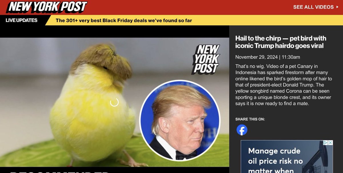 Pztrader tweet media