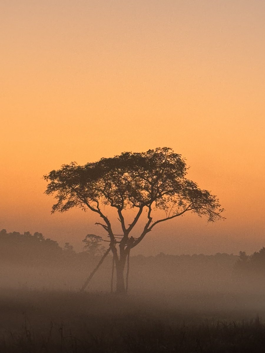 The last shot of the day. As the sun sets… #nature #iphonephotography
