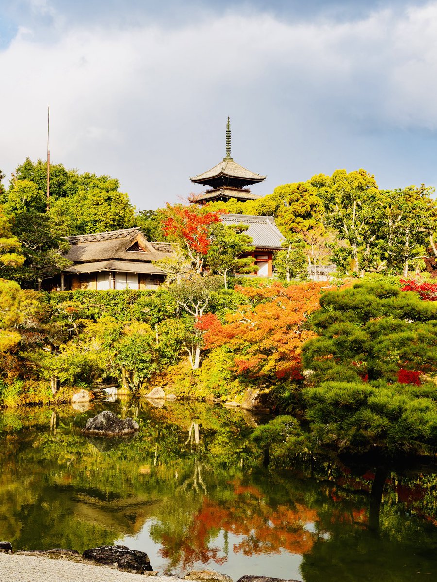 仁和寺紅葉🍁
11月29日撮影

#仁和寺 #紅葉スポット #京都紅葉 #秋の京都旅行 #世界遺産登録30周年 #ninnajitemple #japanworldheritage