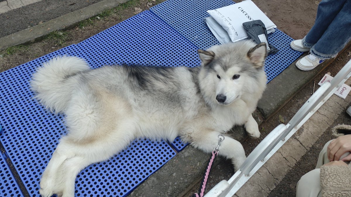 FuYaoWhirlwind tweet media