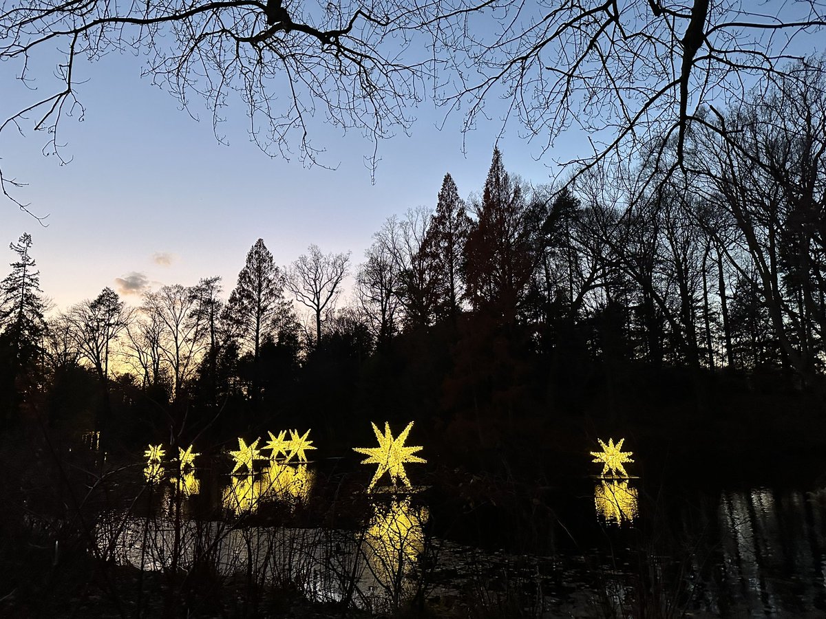 Olga Jarrín Montaner, PhD, RN, FAAN tweet media