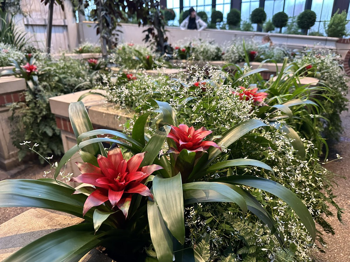 A beautiful night at Longwood Gardens