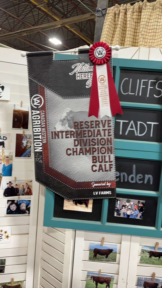 Great day with Coppertone and Crittenden Land and Cattle at #CWA24 #herefords #Herefordcattle