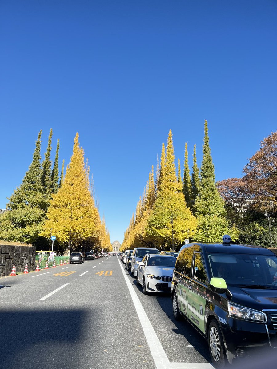 jackpot7th's tweet photo. 今日はここから始まる一日！！

イチョウ並木が綺麗

そしてその後は…
神宮球場でファン感です👍 https://t.co/Oi8WYuw8qH