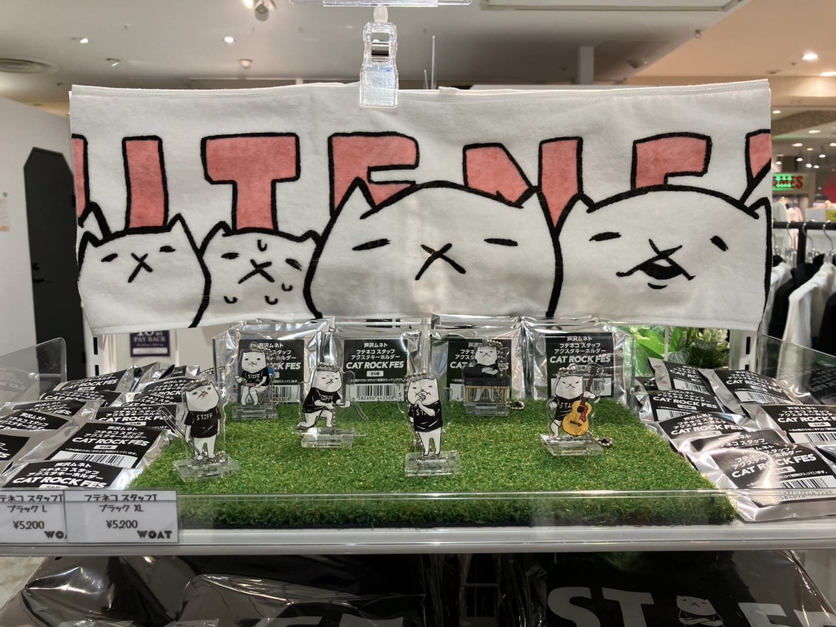 フテネコ - Search / X