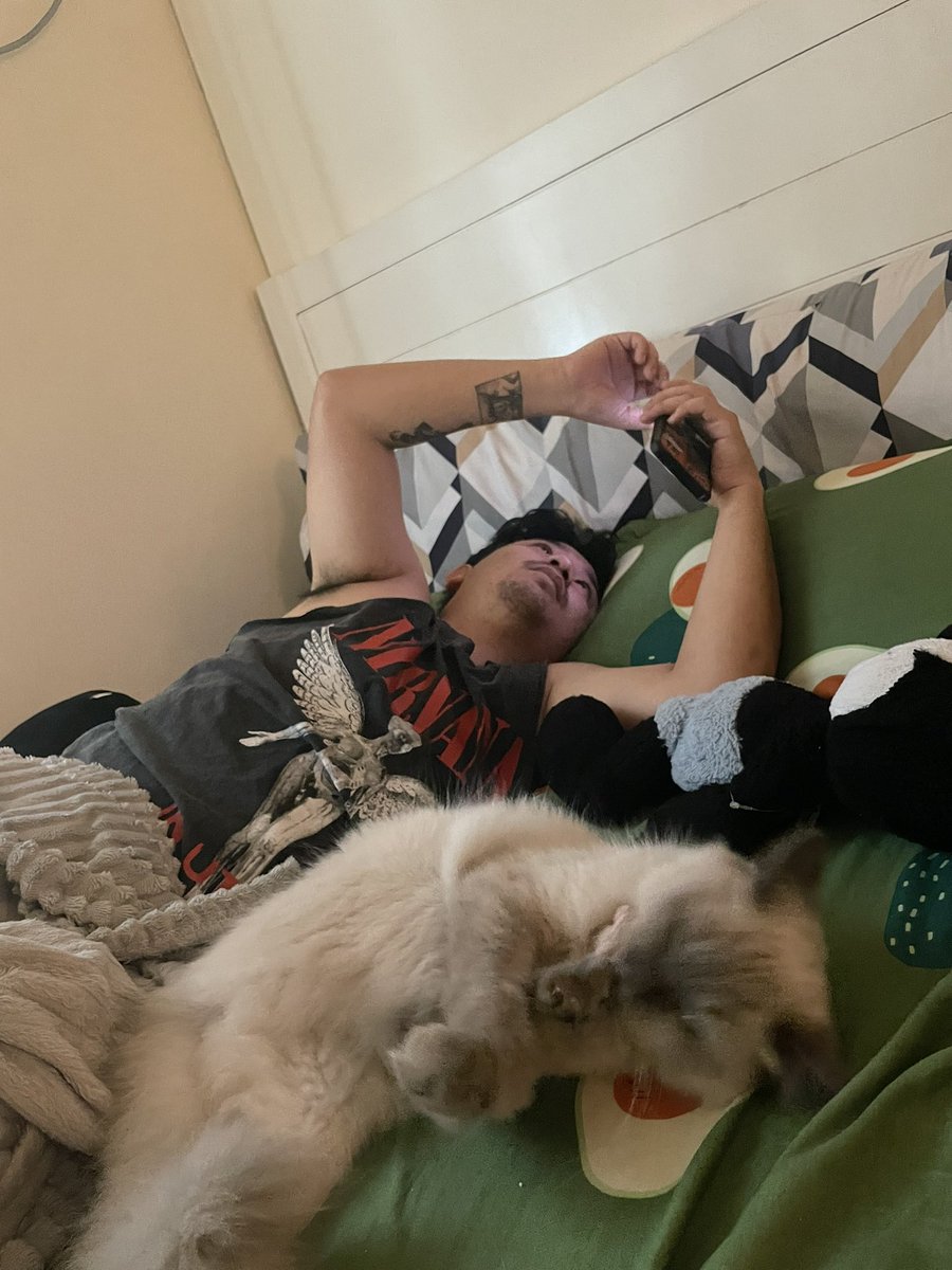 moomibum's tweet photo. Life rn https://t.co/PwVPOeDi98
