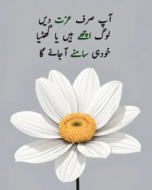 Syed Rafiq Bukhari (@syedrafiqbukha5) on Twitter photo 