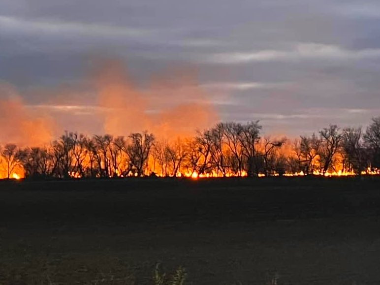 photosbynated's tweet photo. Firefighters are tackling a 4 alarm brush fire Friday evening, Nov. 29, in Bristol, located in central Kenosha County.

#Bristol #KenoshaCounty https://t.co/opRTeDCdUp