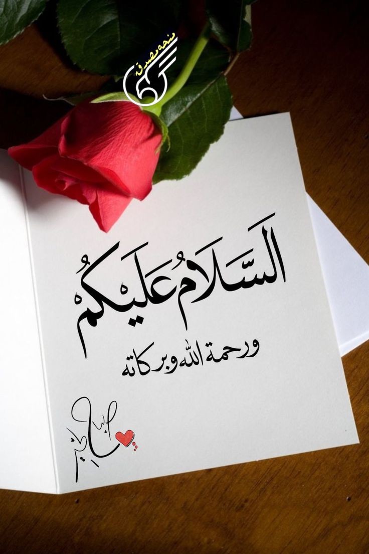 السلام علیکم ورحمتہ اللہ وبرکاتہ 
صبح بخیر 
اللہ سے دعا ہے کہ اج کا دن ہم سب کے لیے سلامتی رحمت برکت والا ہو۔ امین یا رب العالمین