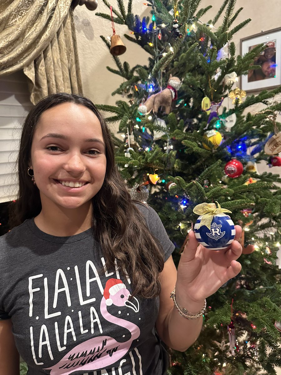 New Christmas decor!🎄💛💙