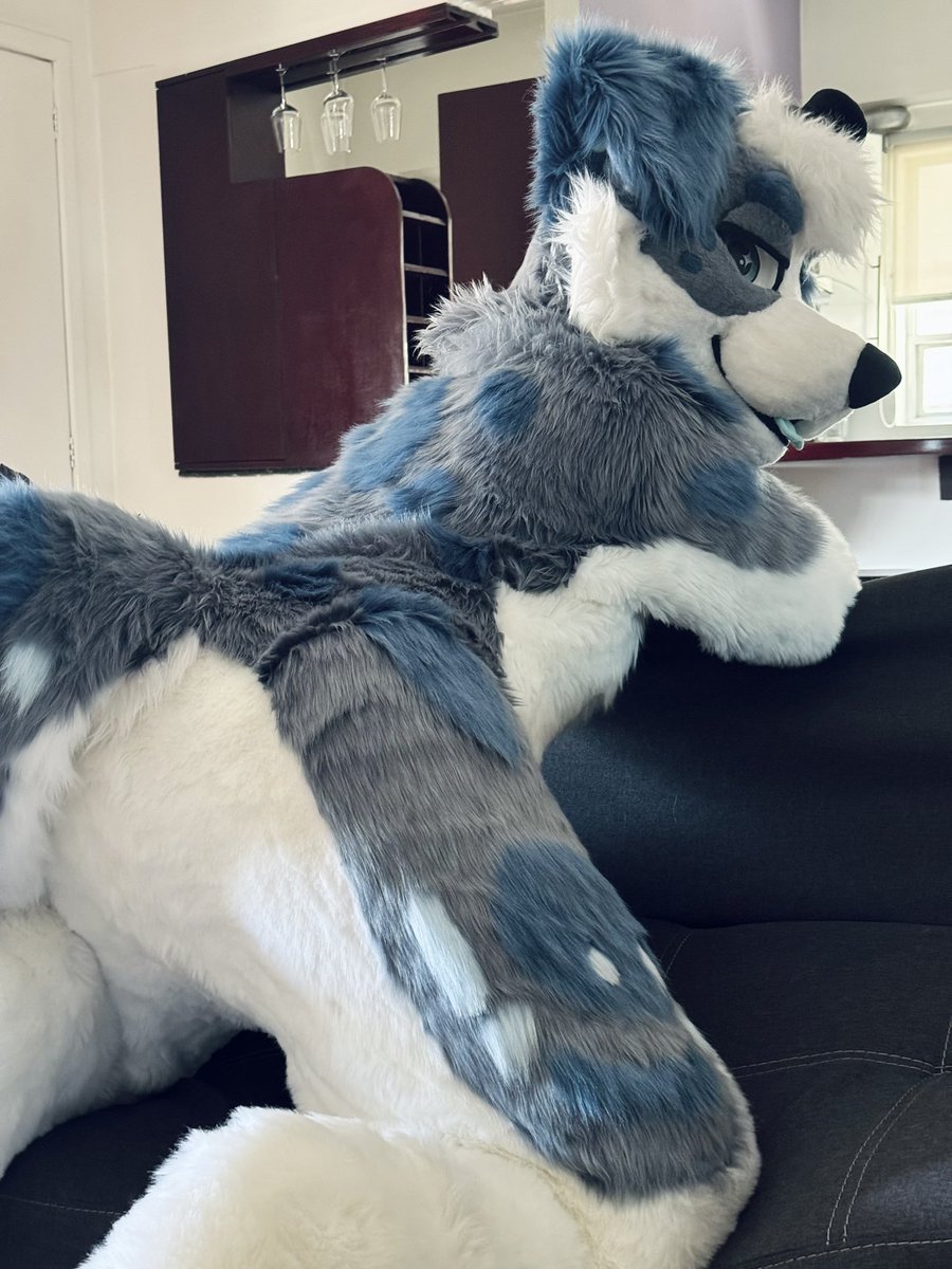 Chet0zflaminHot's tweet photo. Bark :P

#FursuitFriday https://t.co/0IdXrHaYF1