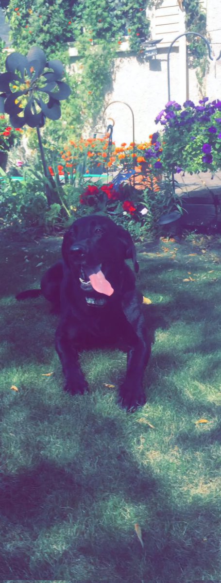 Landon Schultz tweet media