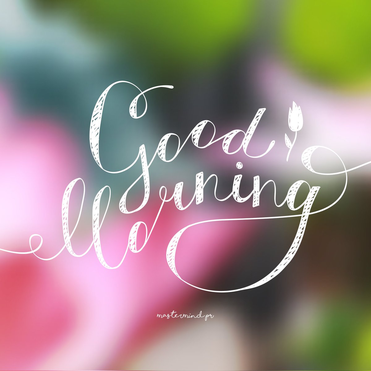 MasterMindDubai's tweet photo. Good morning #Dubai! Have a great day! https://t.co/b6B6CWzrbU