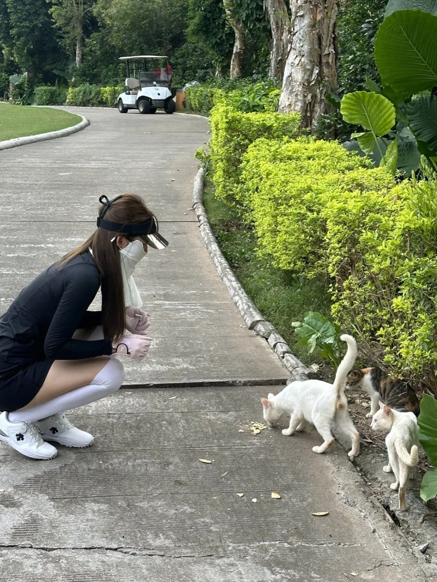 Someone's cat was unwanted and abandoned on the roadside. I want to take it home.