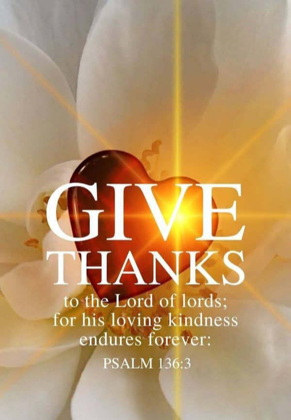 CarlSHansen's tweet image. #ReadingTheWord 📖 
#ThanksgivingDay