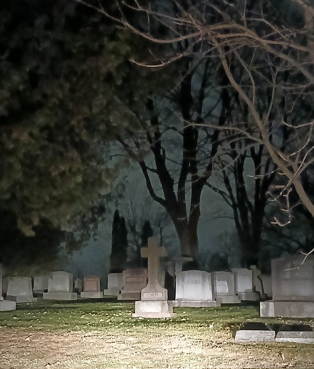 JohnZwicker1's tweet photo. Day 29
Today's #VisitACemetery
to pray for the #HolySoulsInPurgatory
Eternal rest grant unto their souls O Lord & let Your Perpetual Light shine upon them. May they rest in peace
#RIP
#November
#MonthOfTheHolySoulsInPurgatory #MonthOfTheDead #MonthOfOurDeceased #Purgatory https://t.co/lycYzRQNyY
