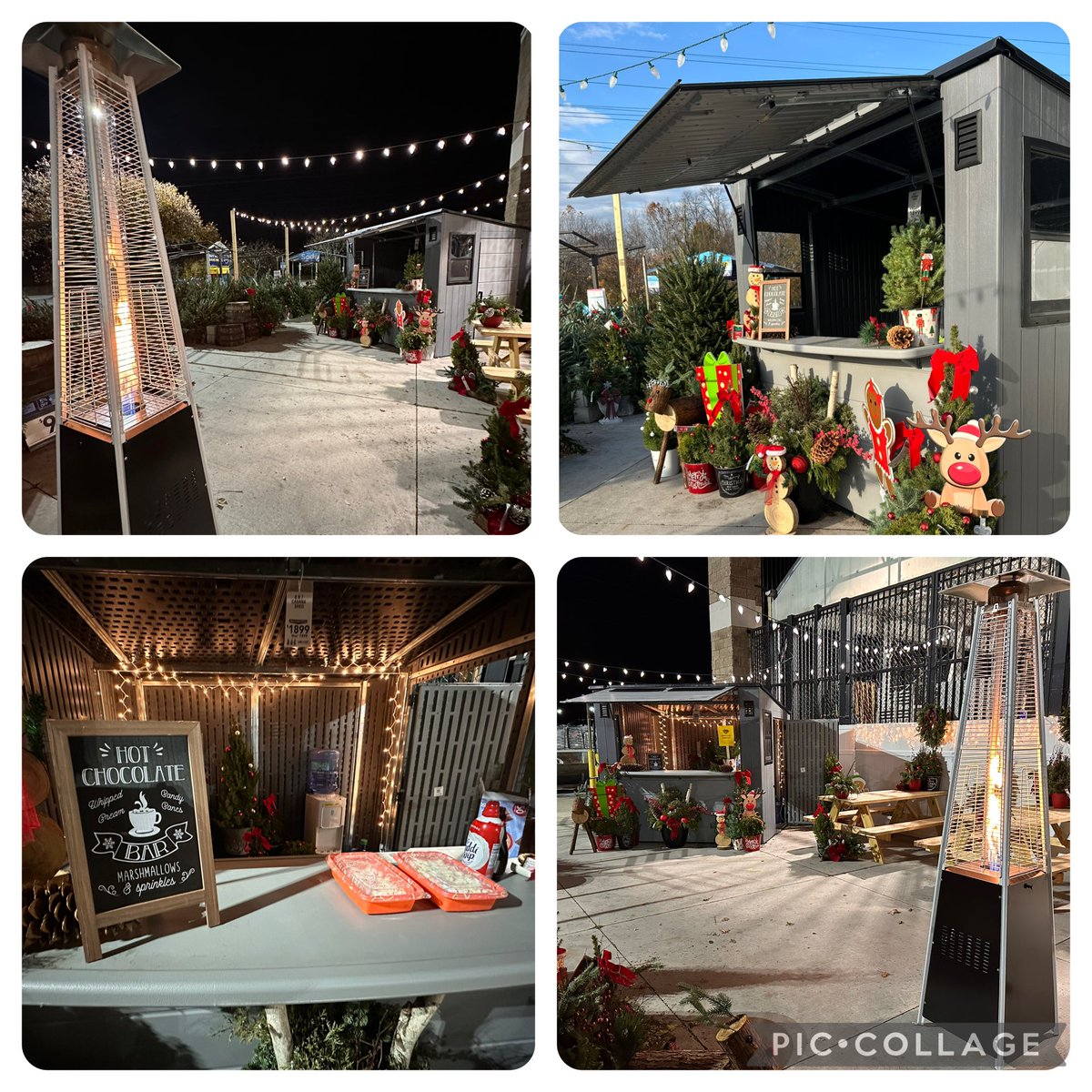 mike cognazzo tweet media