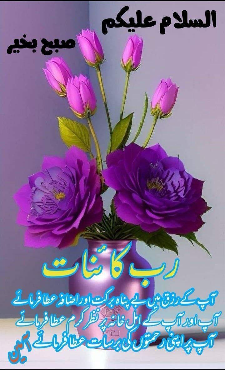 Ali Raza tweet media