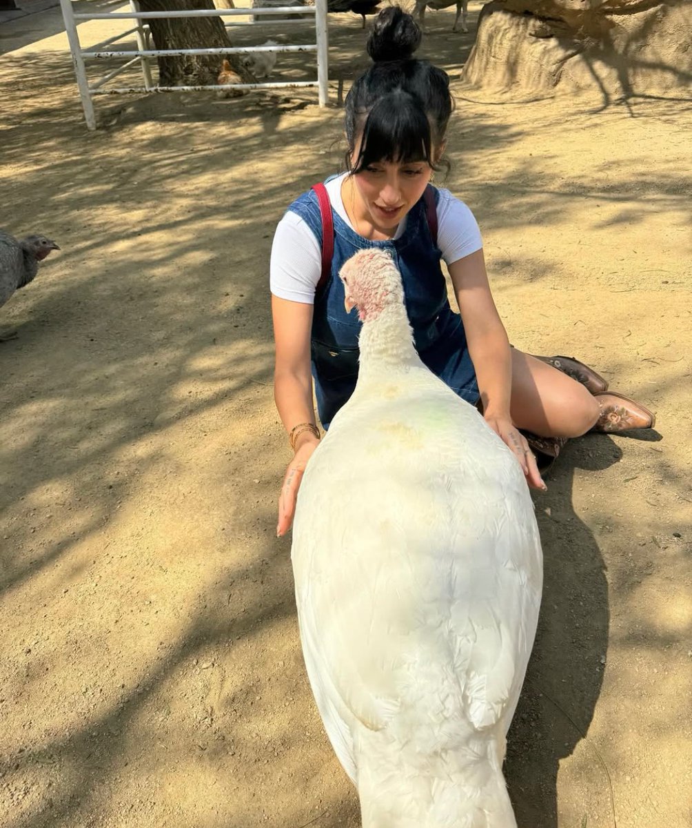 no girl sent you a free pic today? Got ya 👌🤞#gentle barn