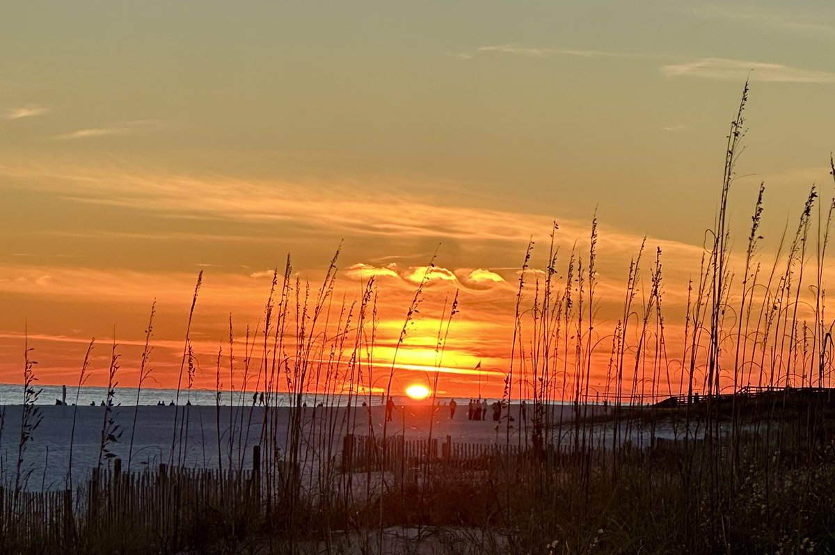 MelanieFreel's tweet photo. Orange Beach, AL
Beautiful sunset 11/29/24 https://t.co/EJHYtMD5nP