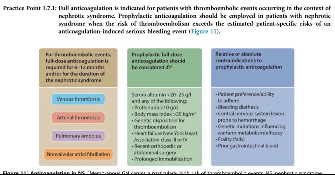 ✅Prophylactic anticoagulation in nephrotic syndrome

🅰️Hypoalbuminemia (&lt;2) with one of following

🎯Proteinuria &gt;10gm/day
🎯BMI&gt; 35
 🎯Heart 💔 failure
🎯Genetic predisposed for thrombosis
🎯/Recent abdominal surgery 

<a href="/goKDIGO/">KDIGO</a> <a href="/ISNkidneycare/">Int Society of Nephrology</a>