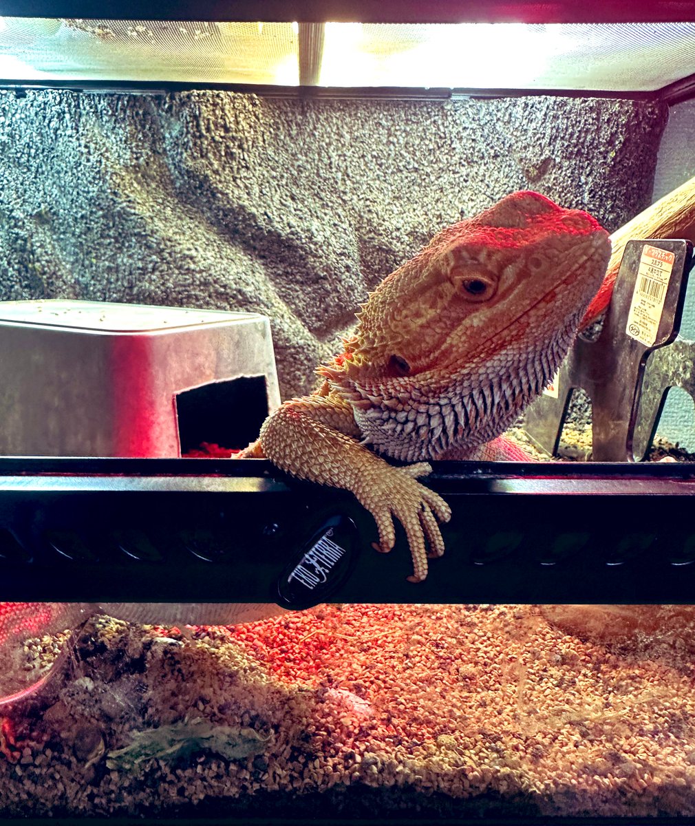 ﾐ!TU:せ。©︎ tweet media