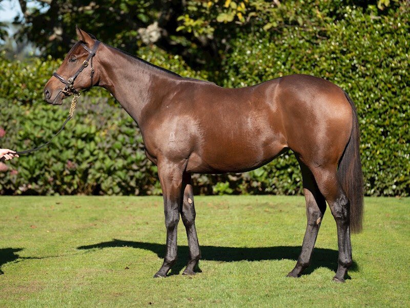 The Listed Fillies Stakes (1340m) goes the way of #Hitabell (NZ) (Embellish) for <a href="/marshracing/">Stephen Marsh</a> &amp; jockey Courtney Barnes 🎉

A $9,500 purchase by Stephen Marsh Racing &amp; Dylan Johnson Bloodstock from <a href="/henleypark1/">Henley Park</a>’s 2023 National Online Yearling Sale draft 🤝 

Congrats to all