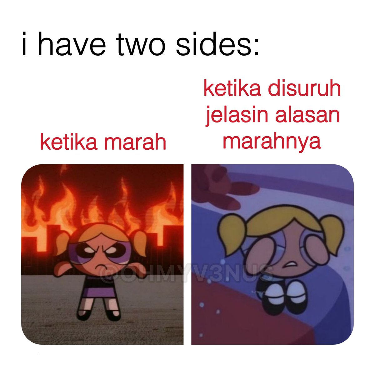 OHMYV3NUS's tweet image. 