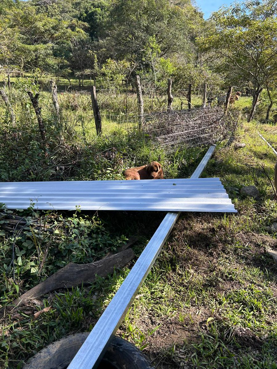 FUNDEMAC's tweet photo. 22-11-24 se llevaron materiales de construcción con el fin que la comunidad realice los trabajos necesarios para la protección de la caseta de bombeo, techado y encementado del árbol de descarga y acceso al lugar del pozo. Fondos subvención @malaga @ONGPozos  @FUNDEMAC https://t.co/jGT1vXNG2Q