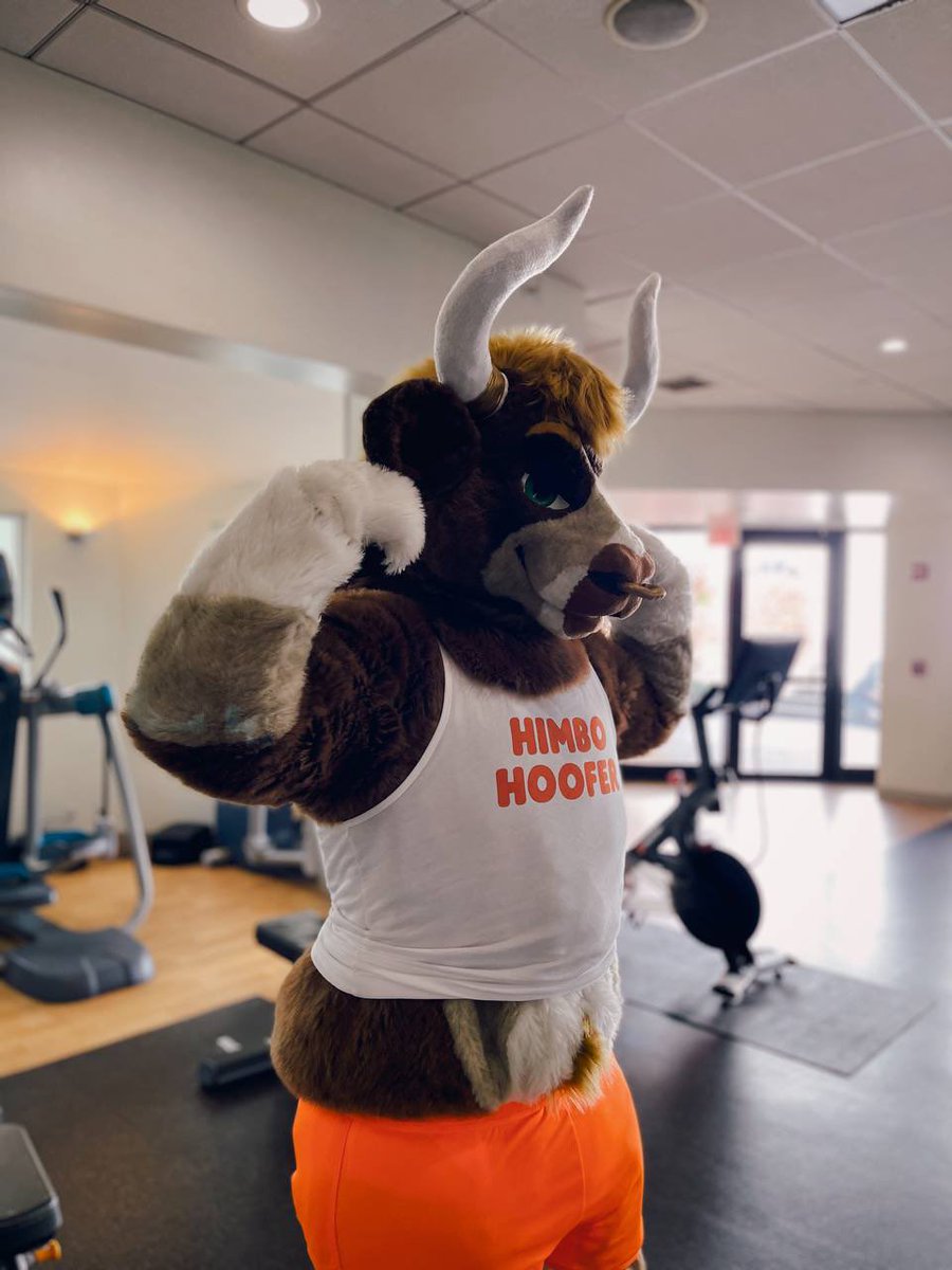 Time to make up for yesterdays indulgence. The himbo grind never stops! #FursuitFriday 
🐂 - <a href="/TheGoldenMaw/">Golden Maw</a> 
📸 - <a href="/Drevin_Drgnwuff/">Drevin/Kassette</a>