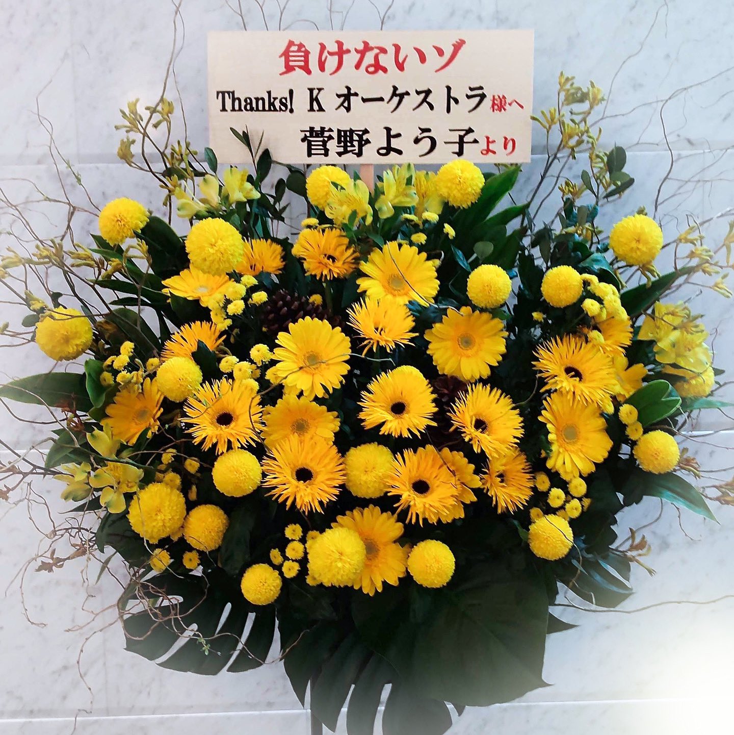 菅野よう子楽曲演奏団体Thanks! K (@K_thanks) / X 菅野よう子楽曲演奏団体Thanks! K (@K_thanks) / X