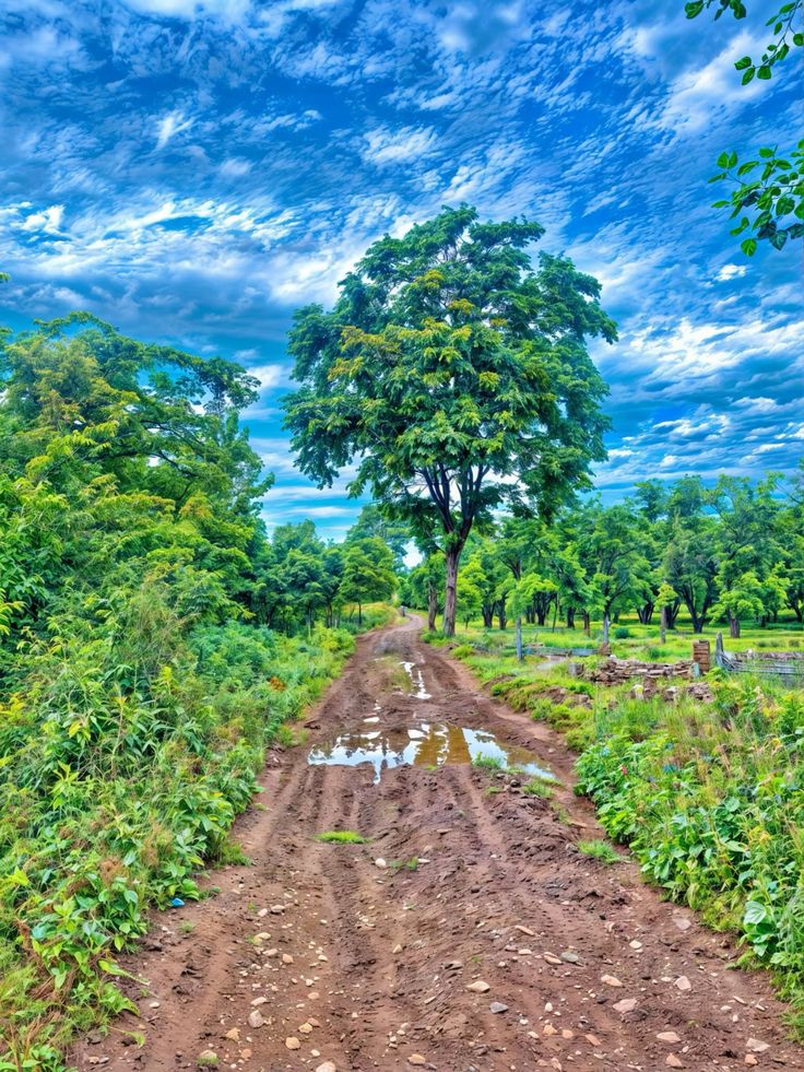 Good morning from this side 🌄🌄 

How are you guys!?