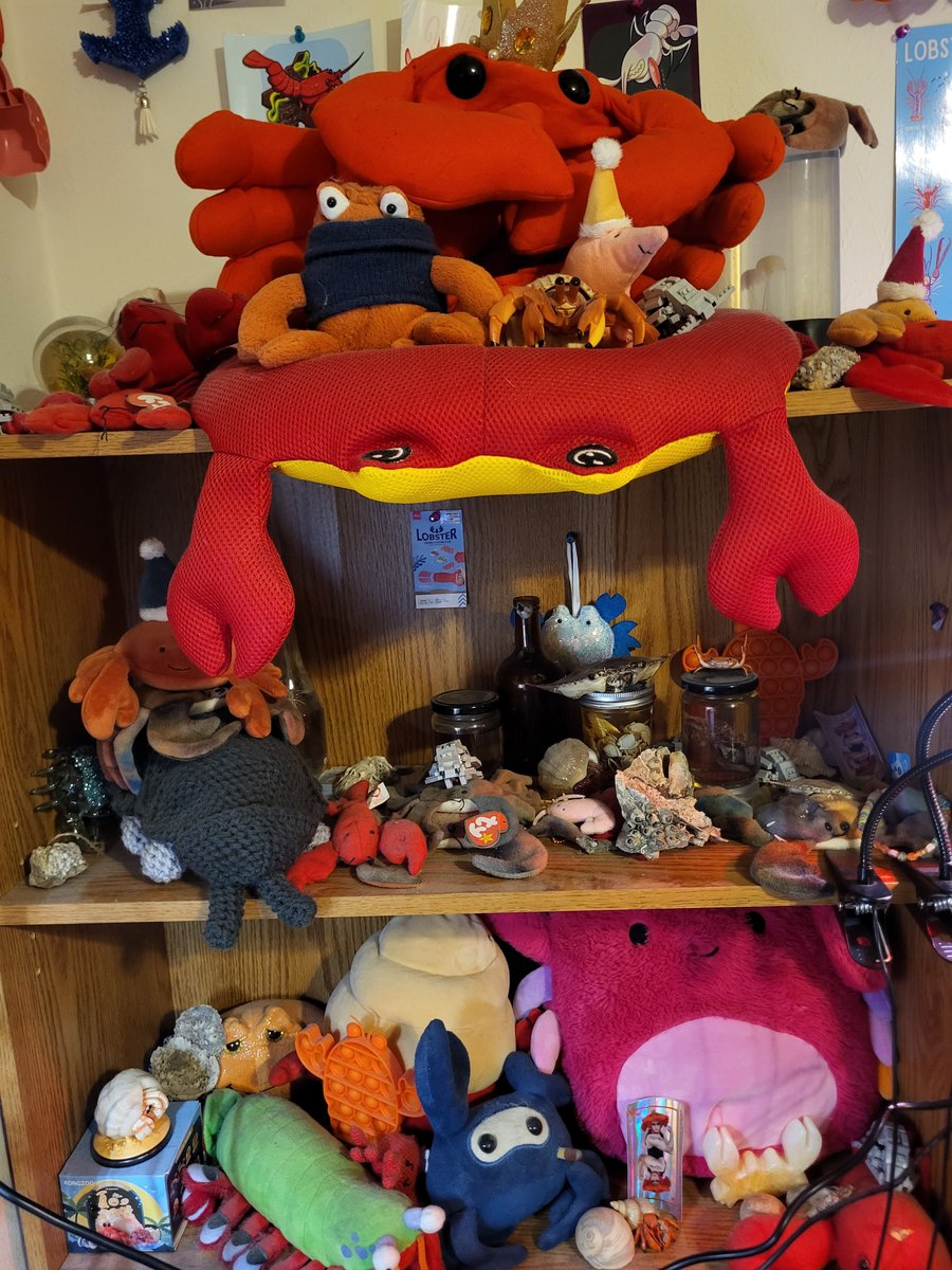 🦞🦐🦀Crustacean King🦀🦐🦞 tweet media