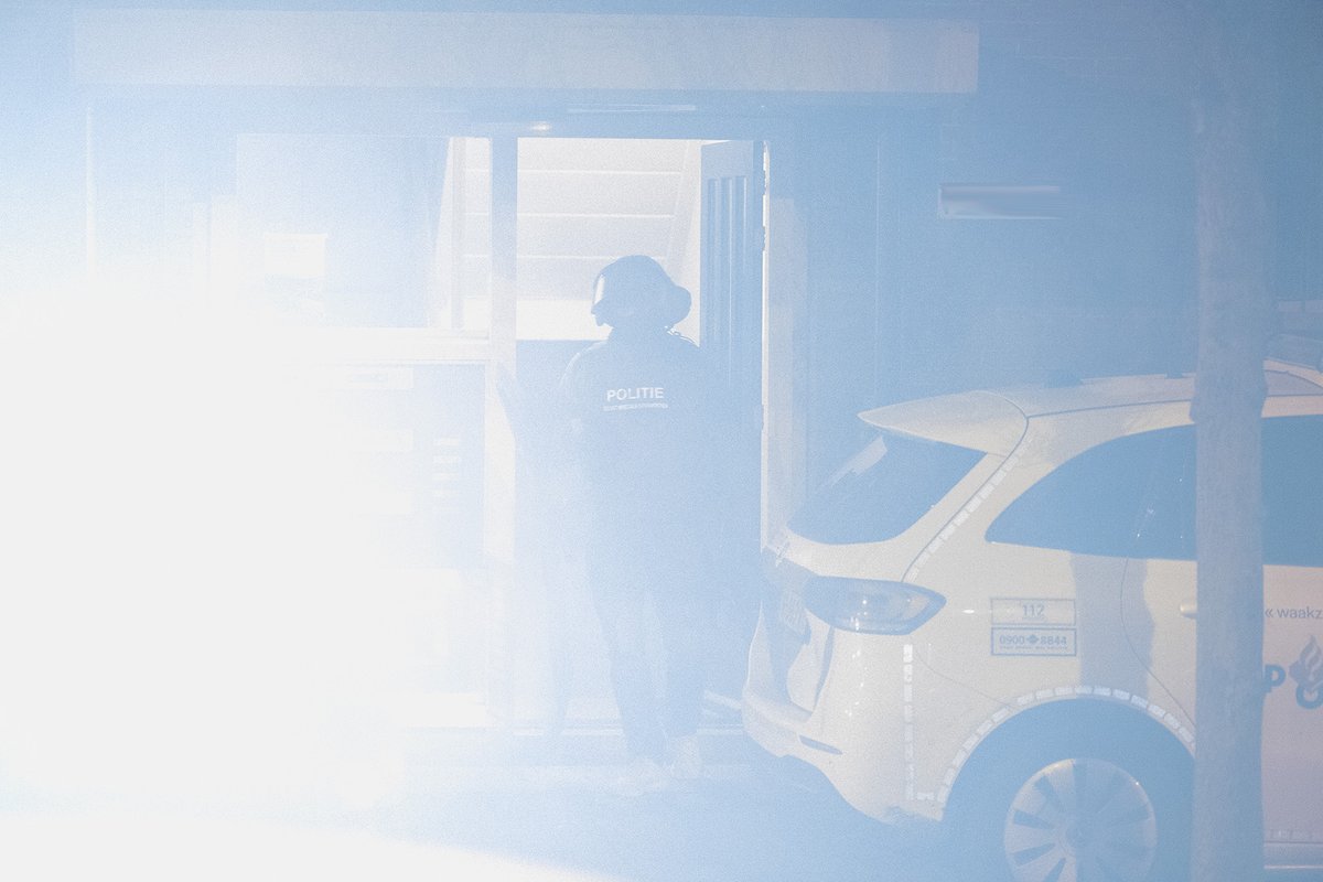 Michel van Bergen tweet media