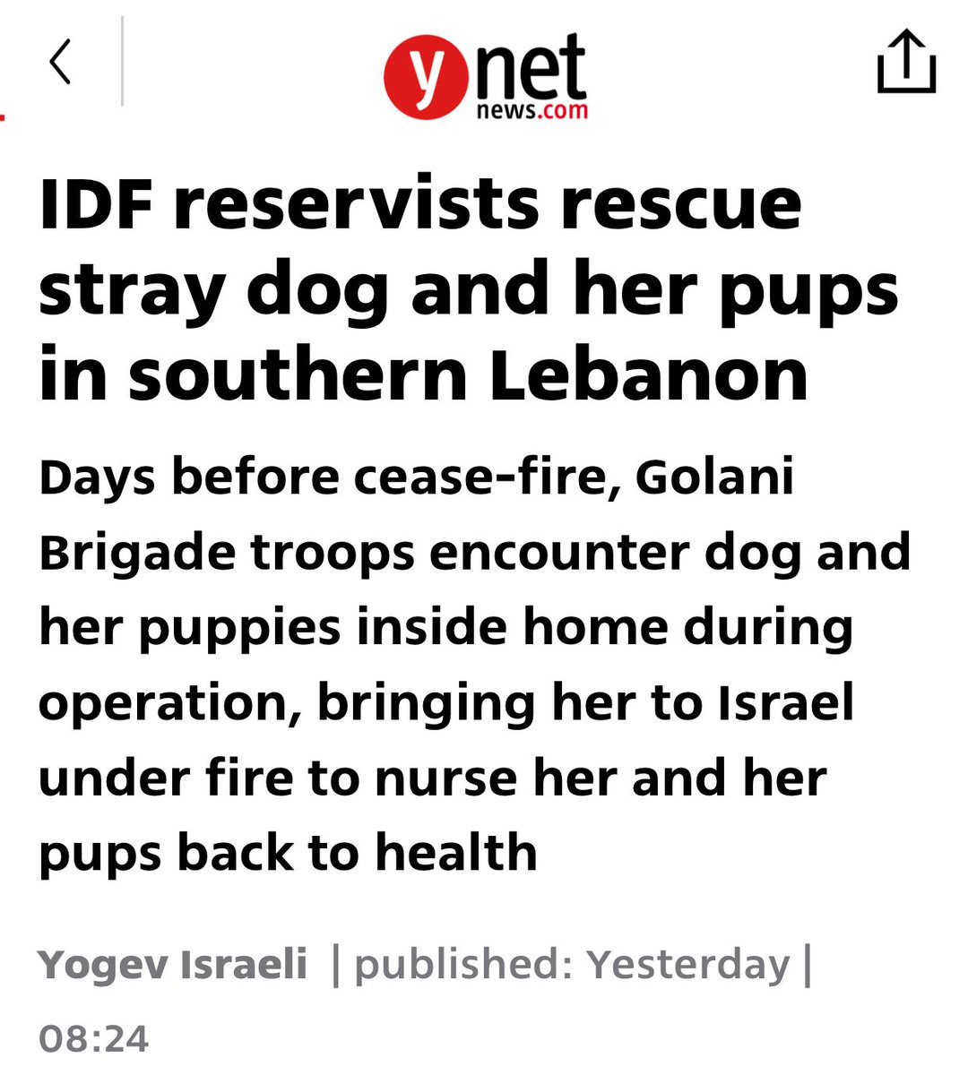 TOliveFern's tweet photo. “rescue”
they stole someone’s loved dog https://t.co/m5iYYOkHrp