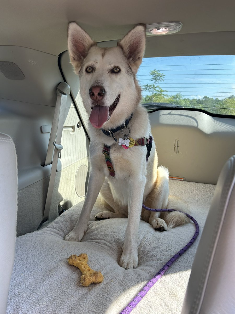 A. Vlavianos 🇬🇷🇺🇸🇮🇹 tweet media