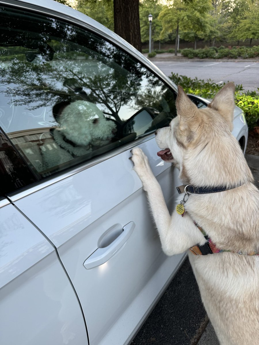 A. Vlavianos 🇬🇷🇺🇸🇮🇹 tweet media