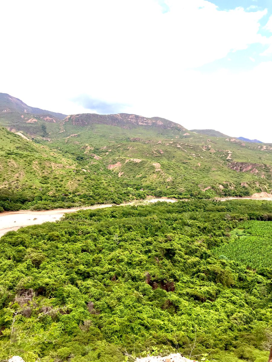 tinywasp_'s tweet photo. Postales desde el flanco occidental de la Cordillera Oriental https://t.co/5gWyvsBcvG